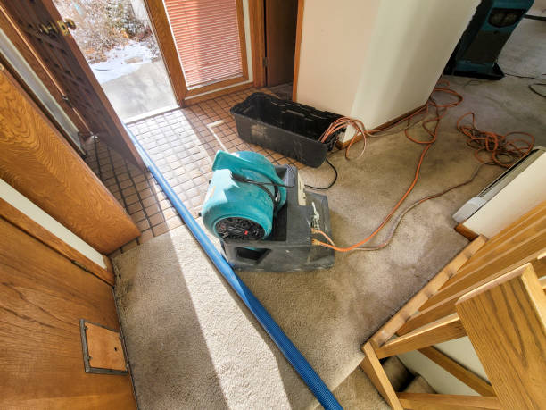 Sewage cleanup and water damage restoration in UT