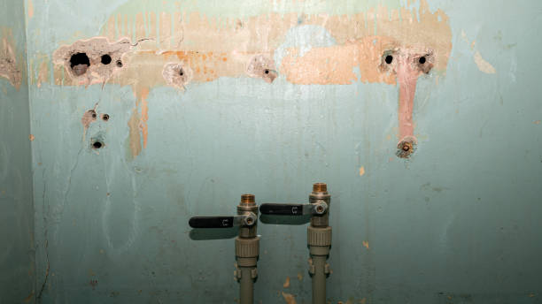 Best Water damage contractors near me  in Enterprise, UT