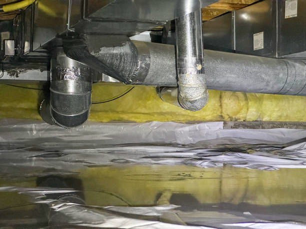 Best Water damage mitigation services  in Enterprise, UT