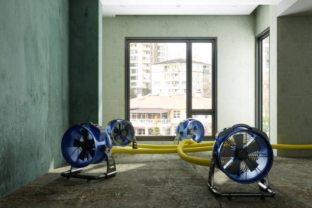 Best Professional water damage repair  in Enterprise, UT